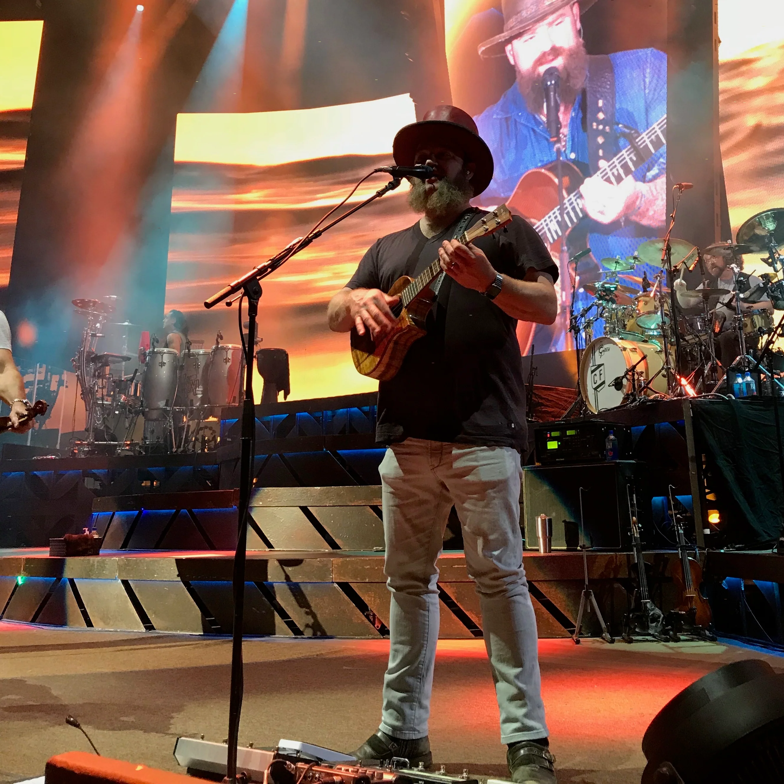 Kala Artist John Driskell Hopkins