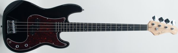 Bass Guitars